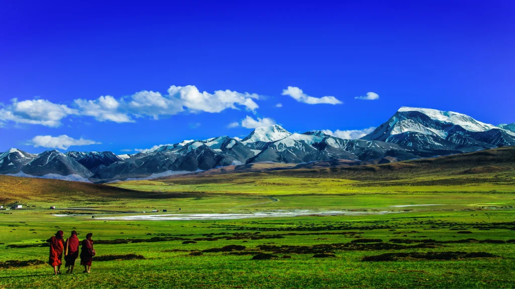tibet_grassland