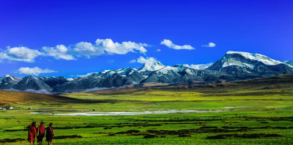 tibet_grassland